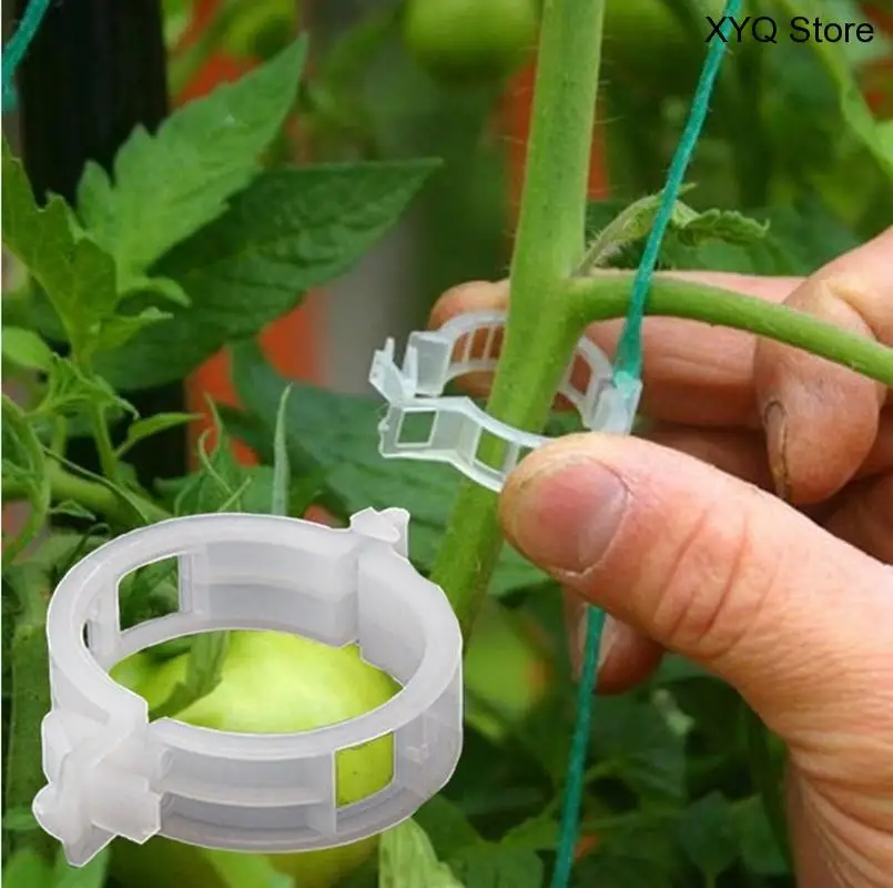 

50Pcs Durable 30mm Plastic Plant Support Clips For Types Plants Hanging Vine Garden Greenhouse Vegetables Garden Ornament