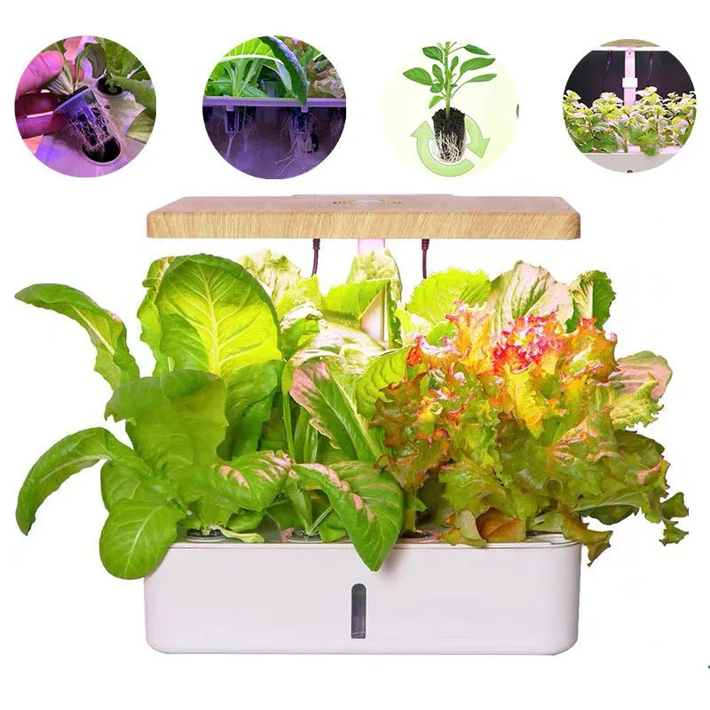 

Indoor Intelligent Hydroponic System Vegetable Planting Fruits Machine System Equipment Hydroponic Vegetables Planter Plants Pot