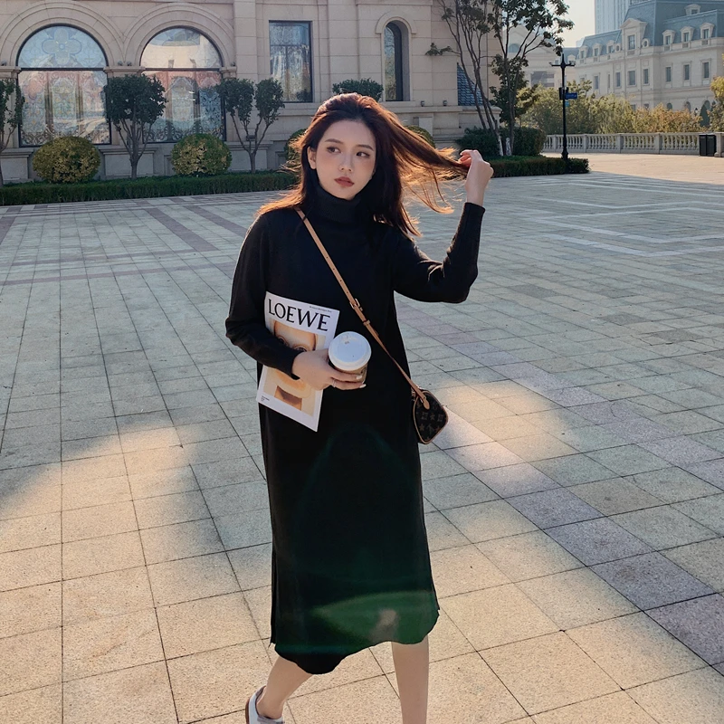 

2022Spring and Spring New Korean Style Women's Clothing Idle Style Solid Color Turtleneck Knitting Sweater Long Sleeve Bottoming