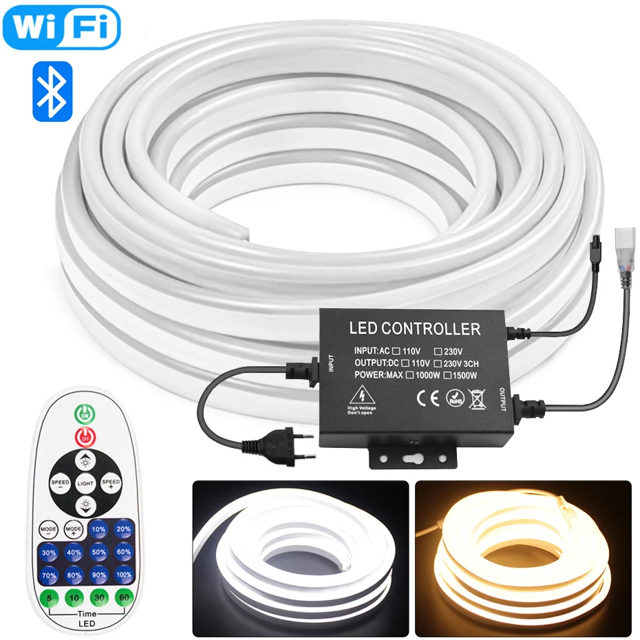 

IR Remote/Bluetooth/WiFi Control 220V Waterproof Neon Light Strip 750W 1500W EU Power Supply Led Strips 1M To 100M Outdoor Decor