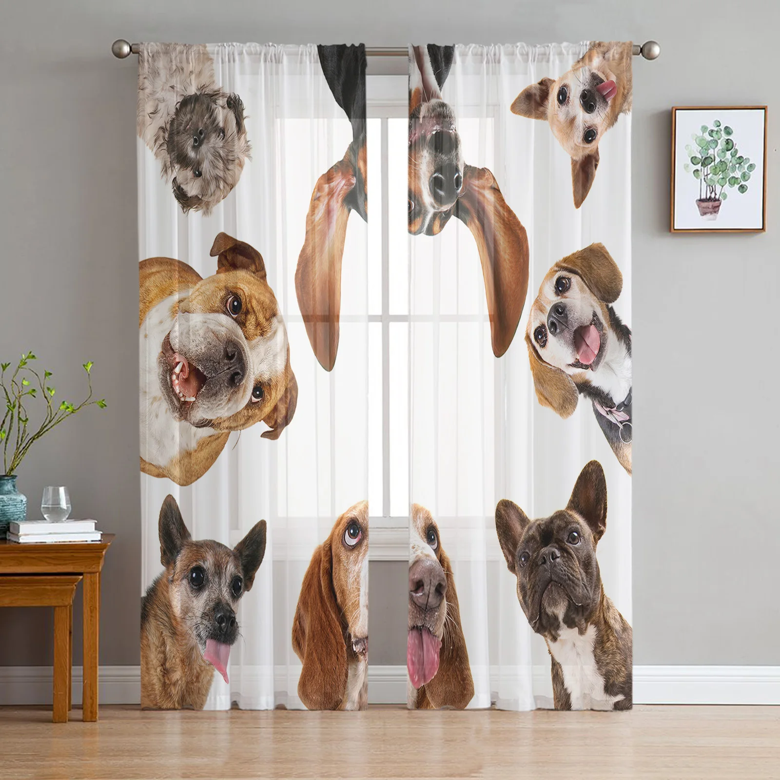 

Funny Design Puppy Dogie Sheer Curtains for Living Room Voile Curtain Bedroom Bathroom Tulle Curtains Window Drapes