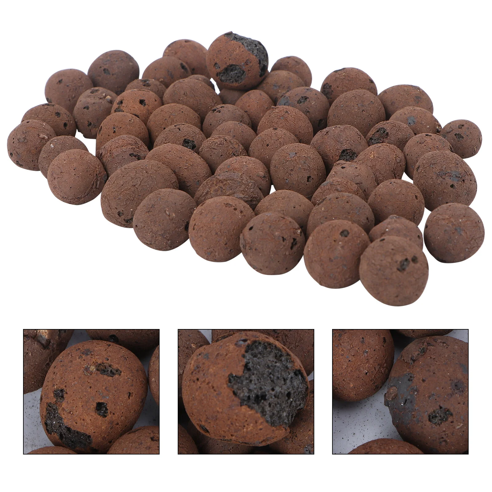 

Indoor House Plants Fish Dish Para De Mujer Interior Para De Mujer Interior Tool Planting Supplies Indoor