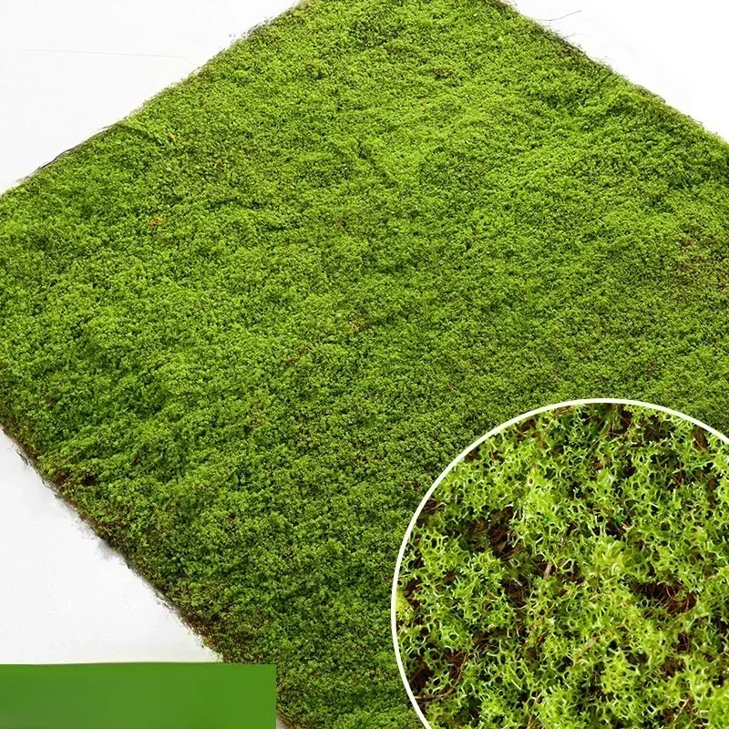 

Искусственный мох 05PHQT44-Moss