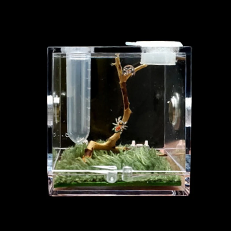 

Акриловая клетка для кормления прыгающий паук, нано-Террариум с рисунком рептилий, прозрачная, 360 градусов, Y5GB