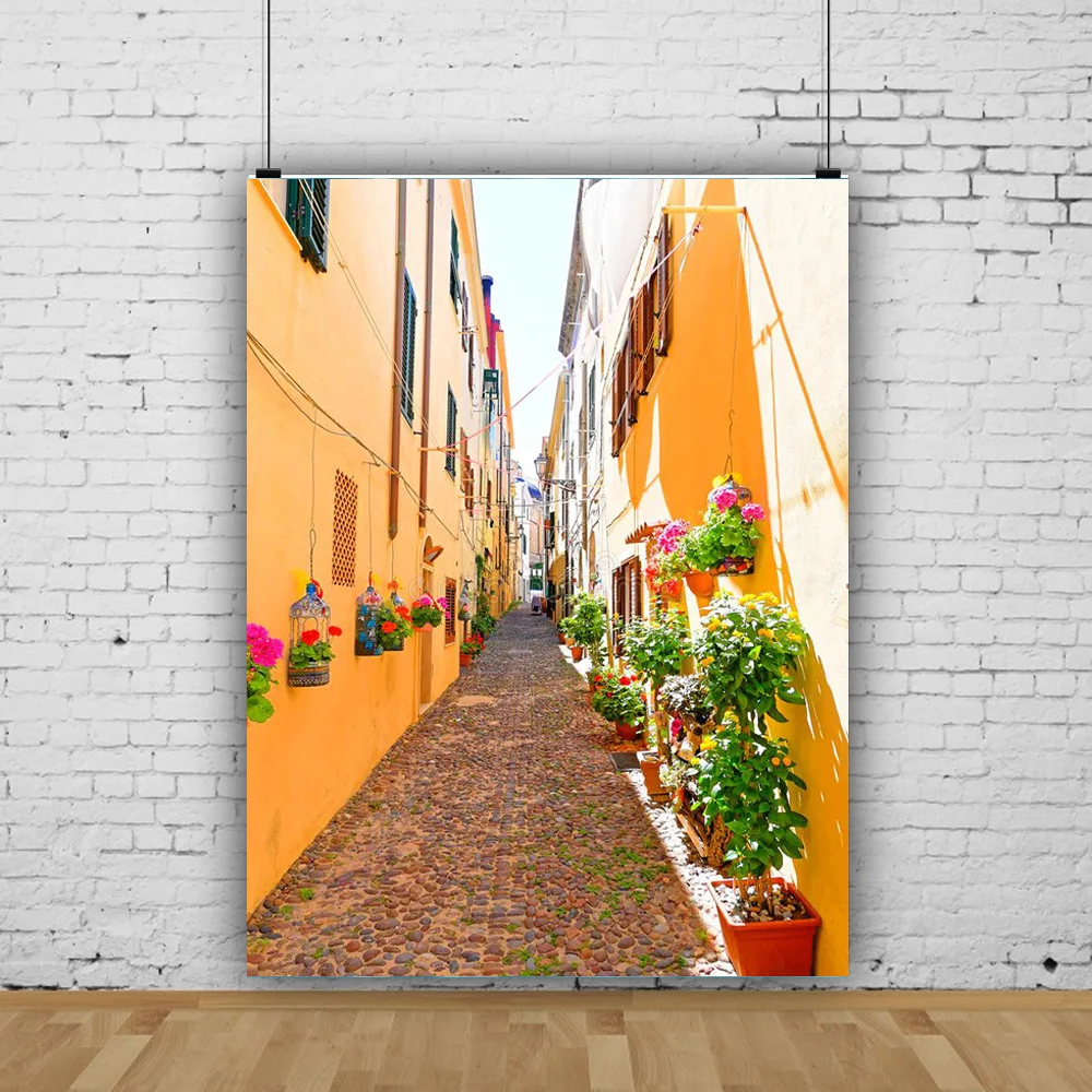 

European Style Retro Street Seaside Scenery Wedding Photos Newborn and Pet Photography Background Props JDH-08