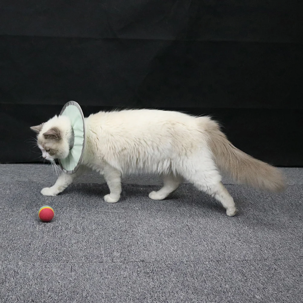 Защитный ошейник для домашних животных аксессуары костюмов восстановление