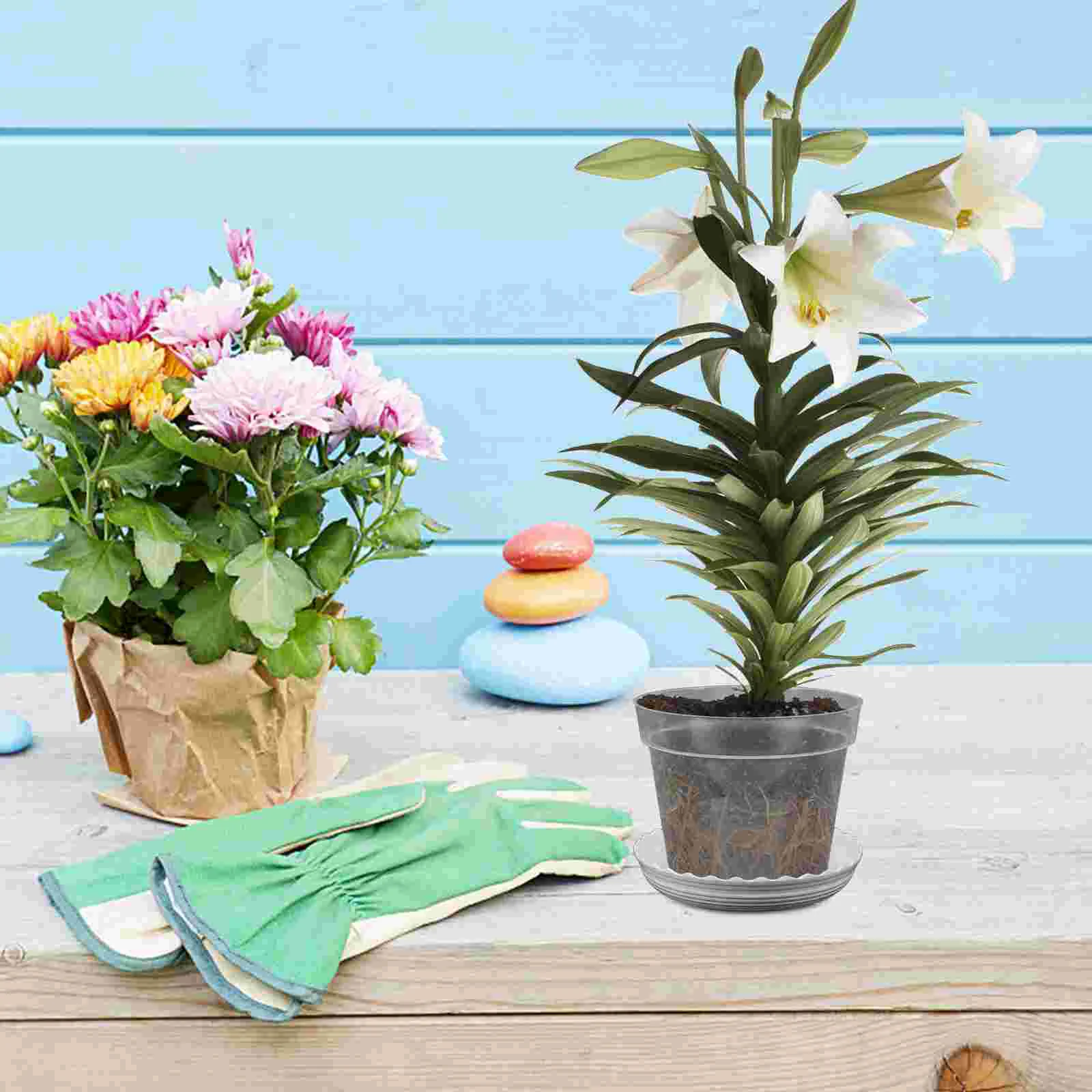 

2 Sets Planter Orchid Flower Pot with Drainage Hole Garden Small Orchid Pot with Holes and Holder