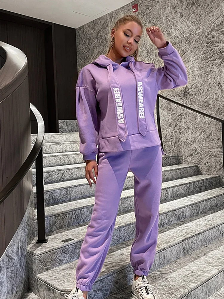 

casual purple loose fleece workout pants suit female oversize sweatshirt hoodies elastic high waist harem pant winter