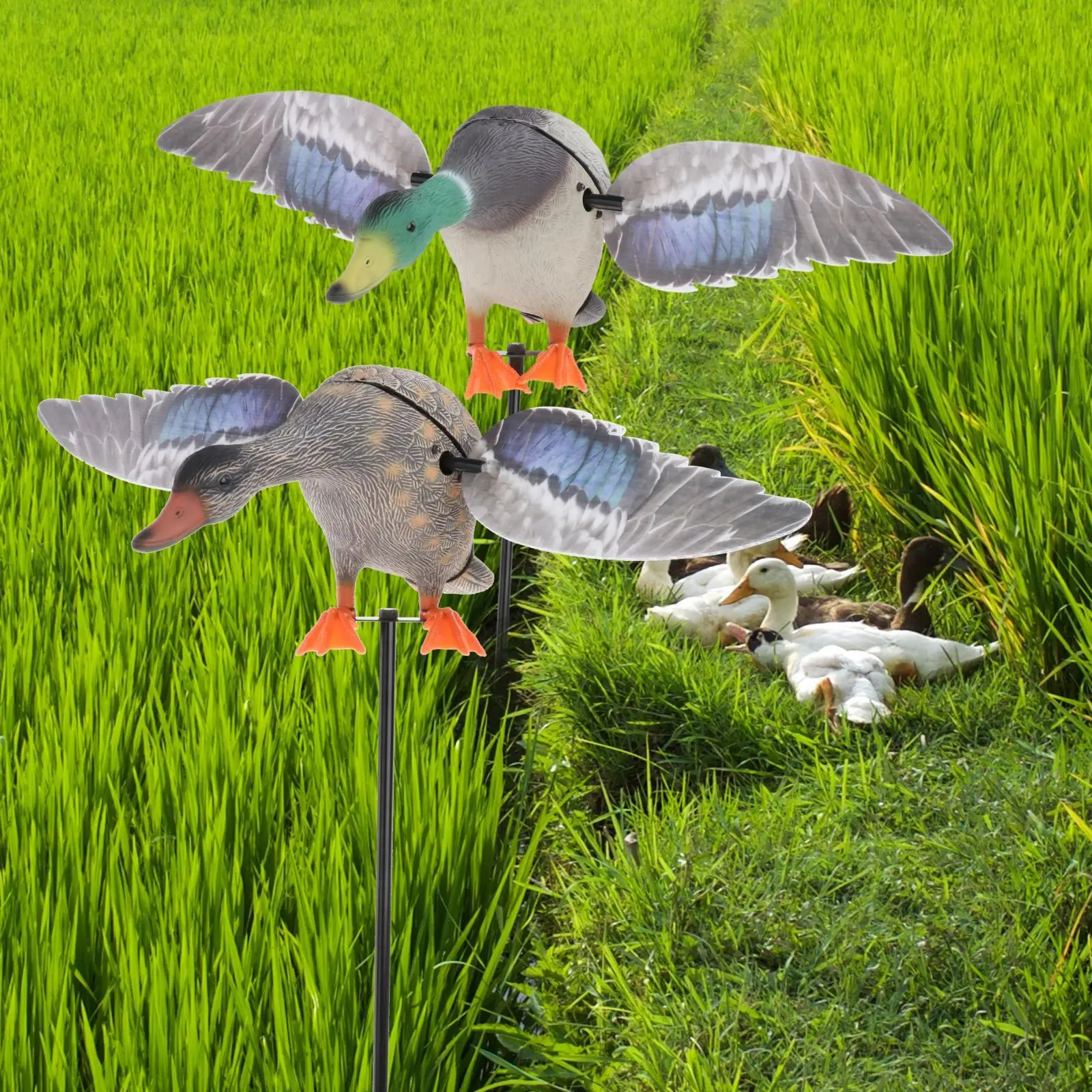 

Flying Duck Decoys Realistic Full Body Mallard Drake Hunting Shooting Decoys