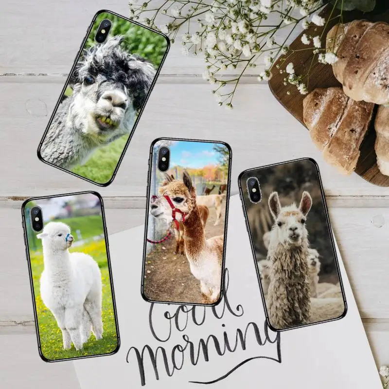 

Lama Llama Alpacas Phone Case For iphone 12 11 13 7 8 6 s plus x xs xr pro max mini shell