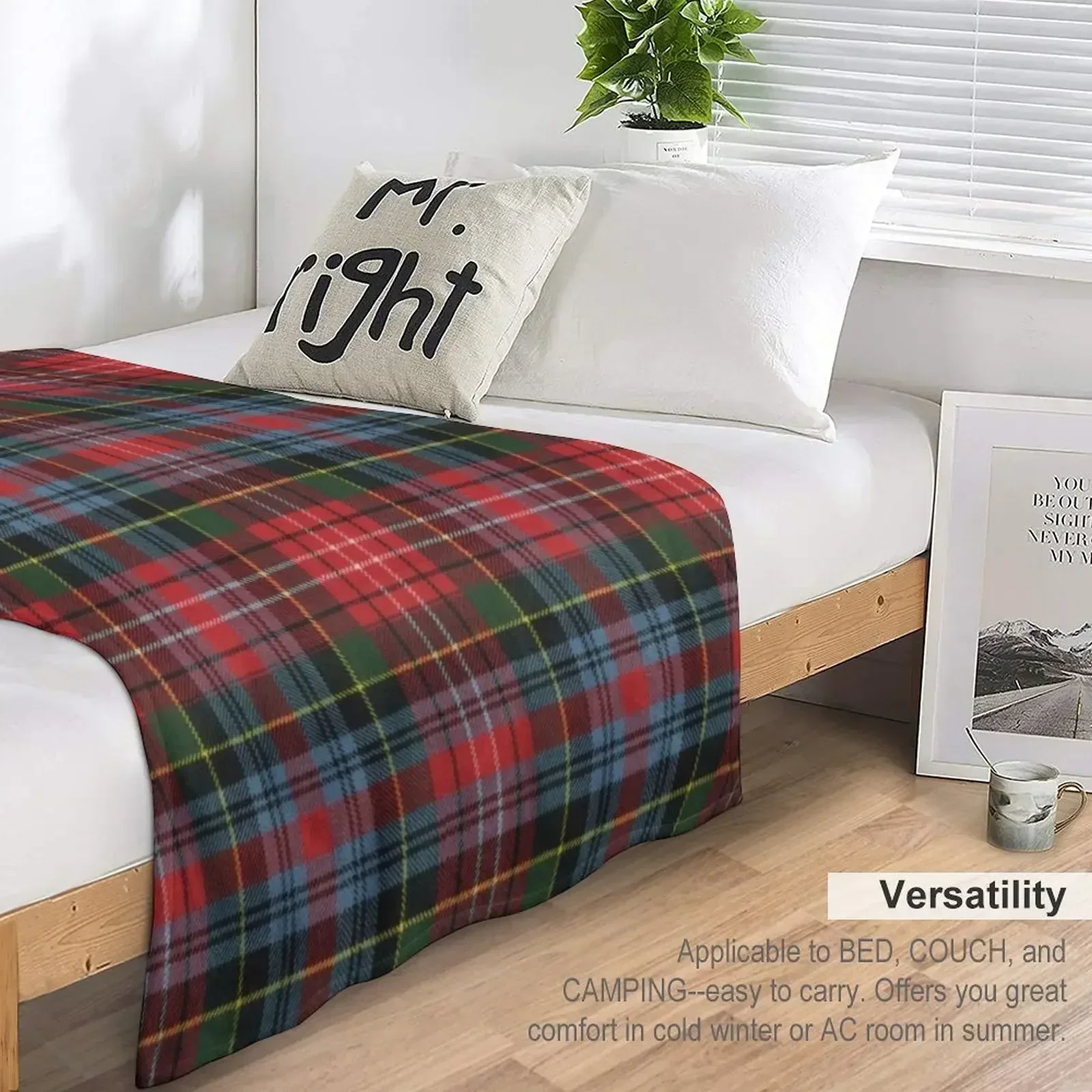 Фото Плед Caledonia Original Clan Tartan, пушистый плюшевый плед для дивана и кресла №5