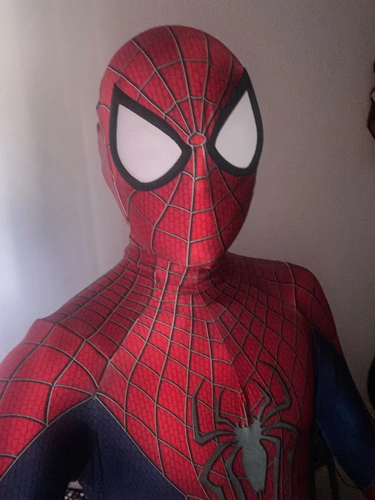 

Adults Kids The Amazing Superhero Costume Halloween TASM2 Zentai Cosplay Suit 3D Print Halloween Costume Bodysuit