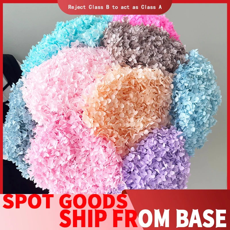 

20g Natural Dried Wooden Hydrangea Preserved Flowers Preserved Hydrangea DIY Floral Wedding Party Decoration