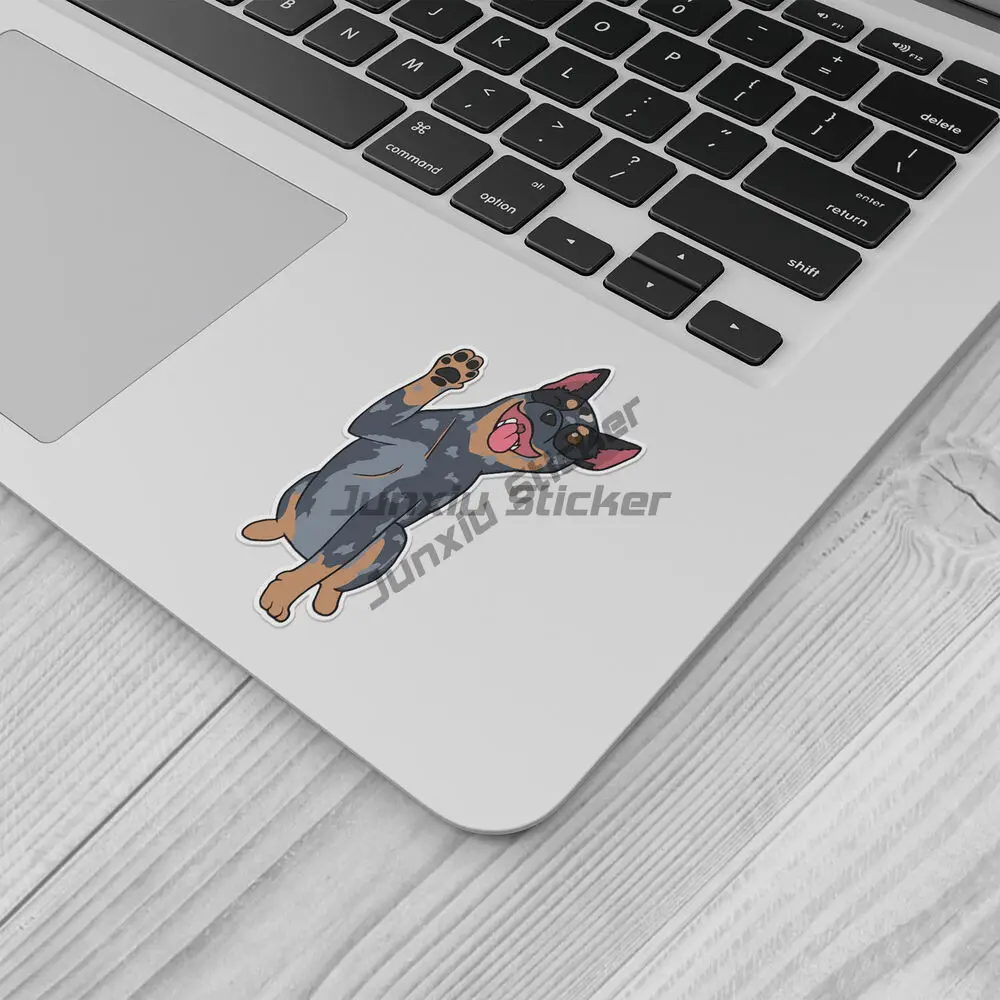 Синяя виниловая наклейка на бампер автомобиля-наклейка окно грузовика кемпера