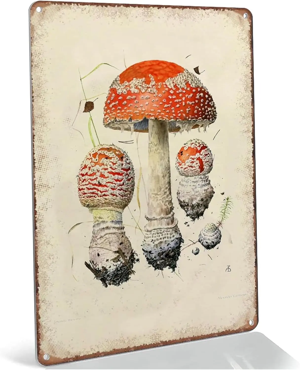 Mhroom Tn Sgn Забавный ron Pntng Botncl Декор Nture Prnt Плакат Plte для дома и офиса Кофе Br Metl 12x8 nch
