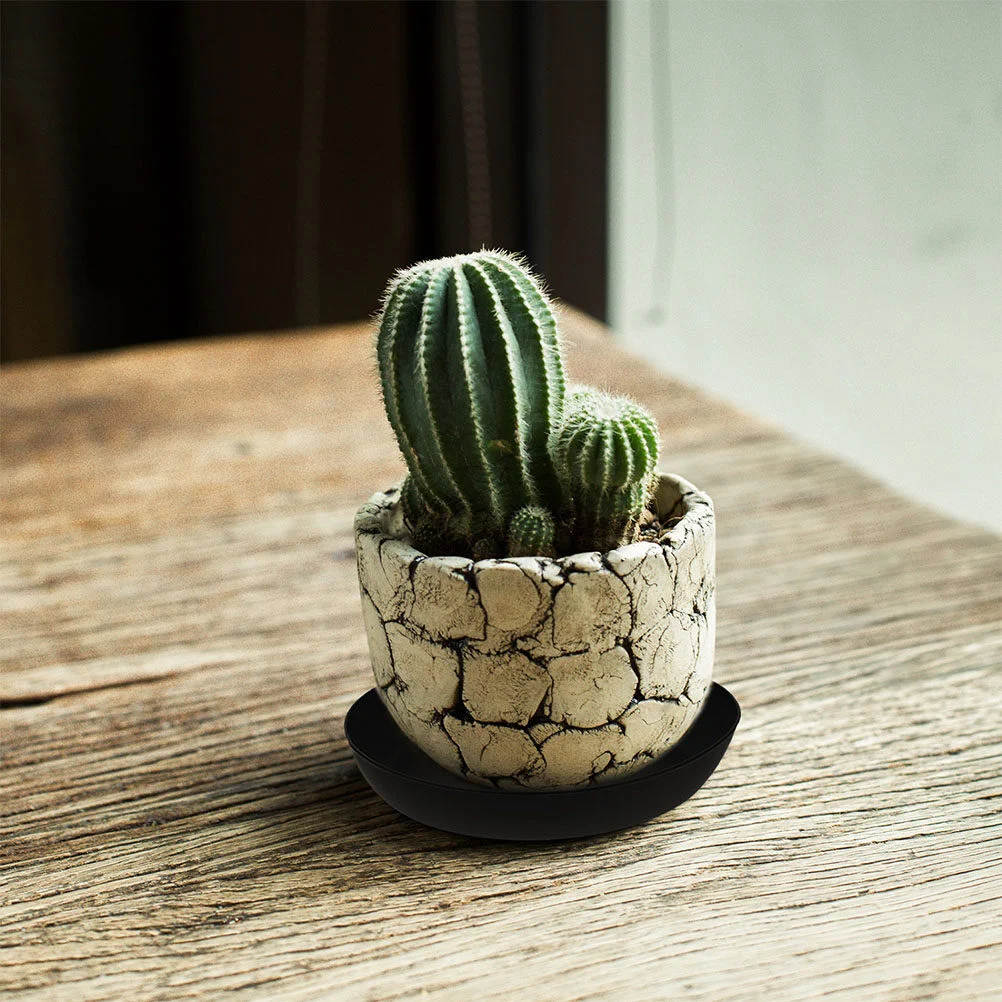 

The Dish Dishes Saucer Pot Saucers Plants Water Trays Indoor Potted Saucers For Outdoors