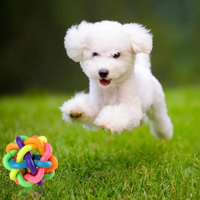 

Игрушечный мяч для собак, цветной колокольчик, вязаный мяч, звук, твист, радуга, устойчивый моляр, похлопывающий мяч, приблизительно для коше...