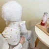 Pet Dog Skirt Spring Summer Thin Puppy Dress Pet Fruit Clothes Bichon Cherry Clothes Soft Dog Clothes XS-XL 5