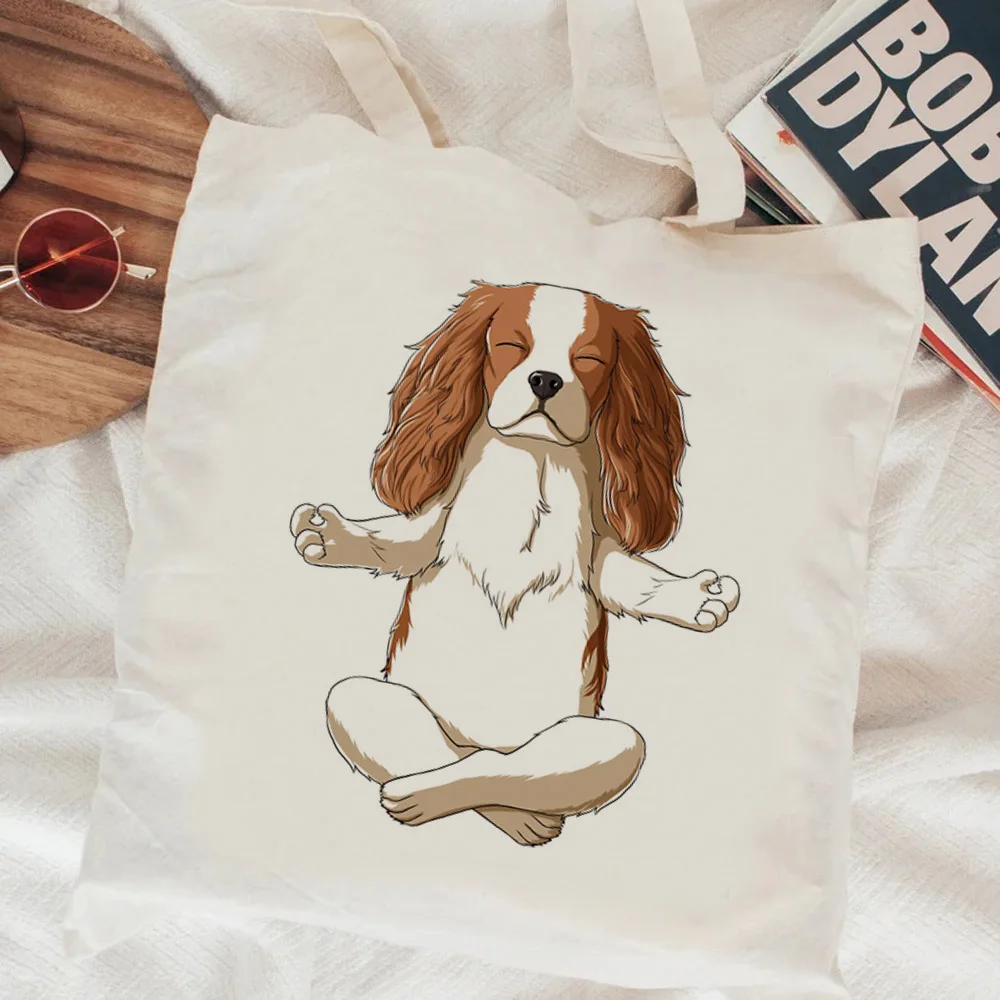 Собака кавалер Кинг чарльз спаниель