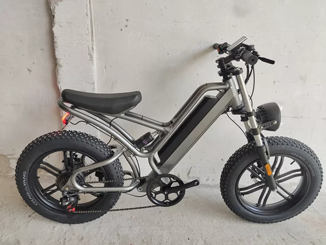 

Электрический горный электровелосипед с широкими шинами мощностью 750 Вт, электровелосипед 1000 Вт, электрический велосипед с Ce