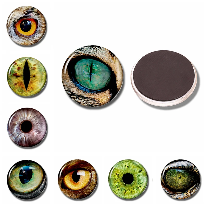 Сова птичий глаз 30 мм магнит на холодильник Smaug змея чудовище стеклянный