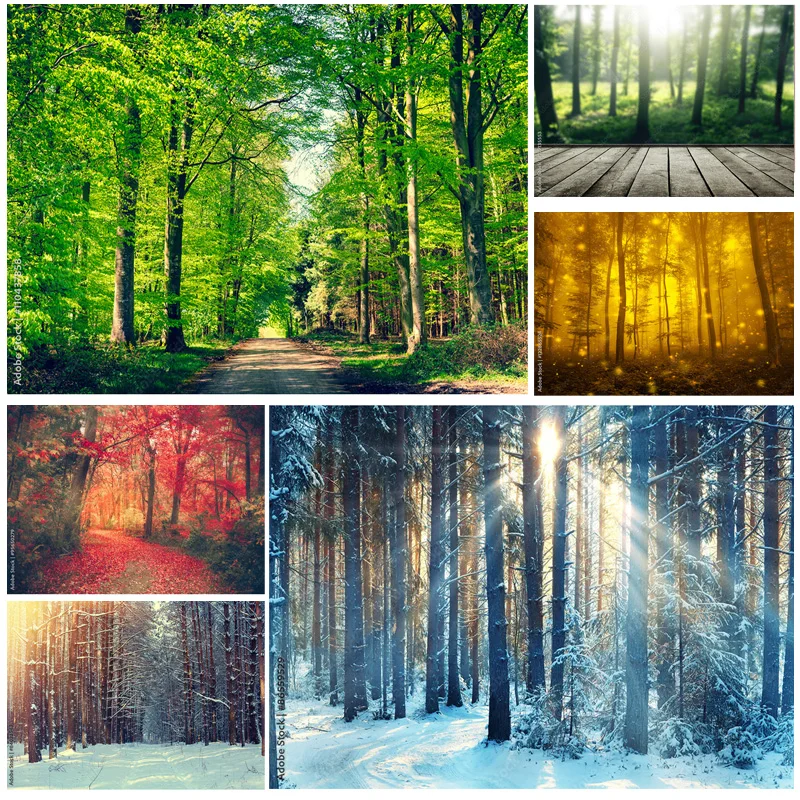 

Vinyl Custom Natural Scenery Photography Background Forest Landscape Travel Photo Backdrops Studio Props 22331 SELI-03