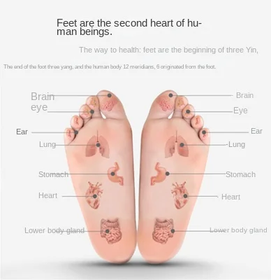 Терагерцовый счетчик энергии земснаряд меридианов и коллатеров всего тела