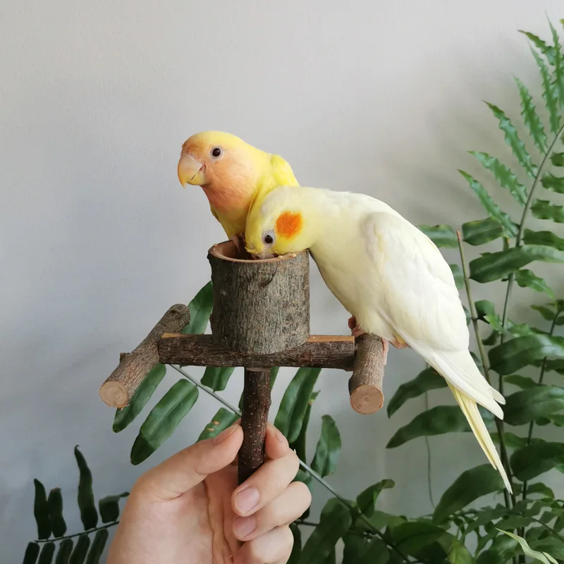 

Xuanfeng peony parrot chewing toy cuttlefish bone corn cob rattan ball string grinding mouth to relieve boredom toy combination