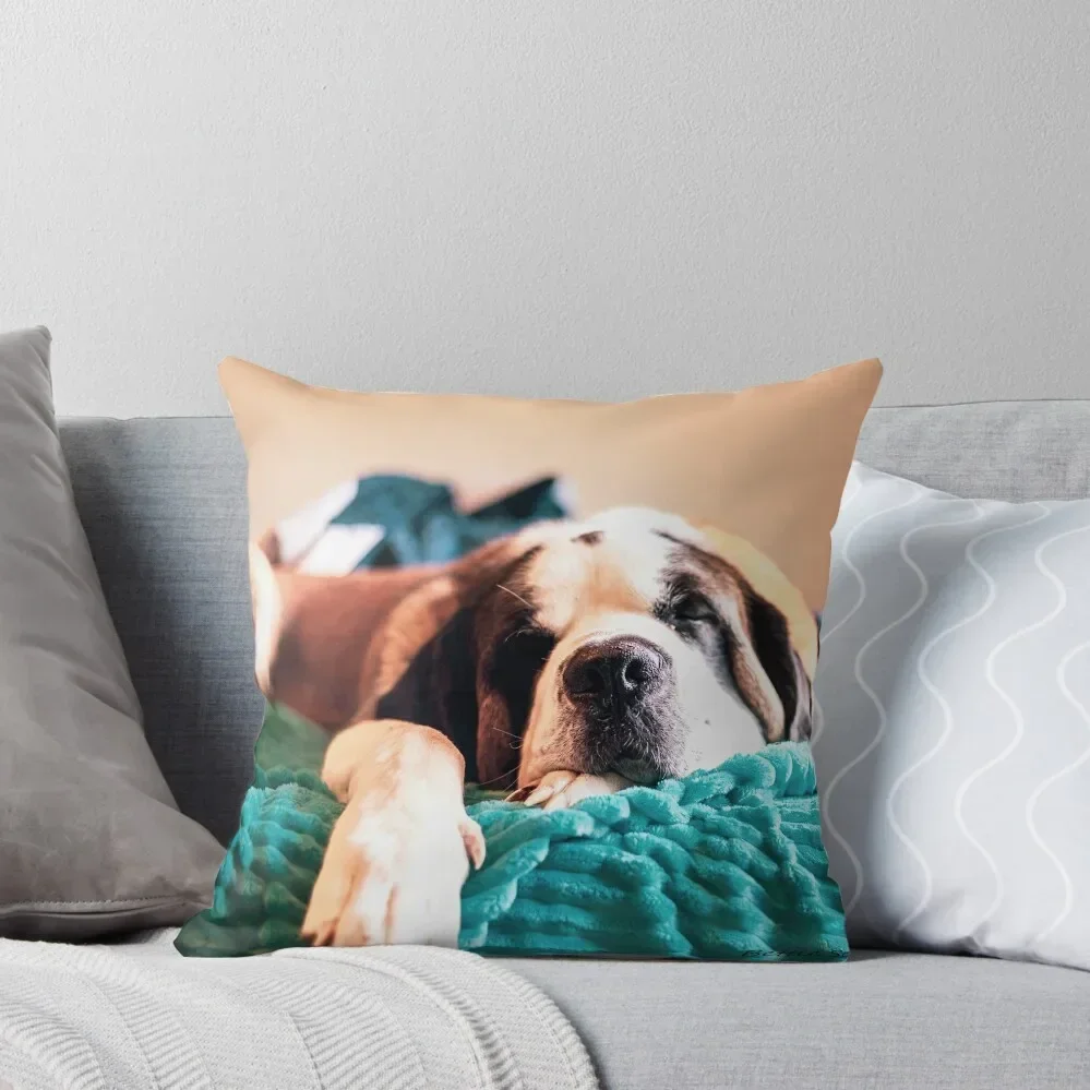 Подушка для сна Saint Bernard декоративная наволочка диванные подушки подушка