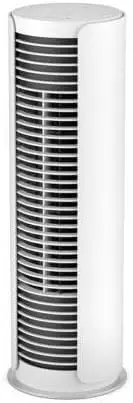 

Little Fan, Small, White