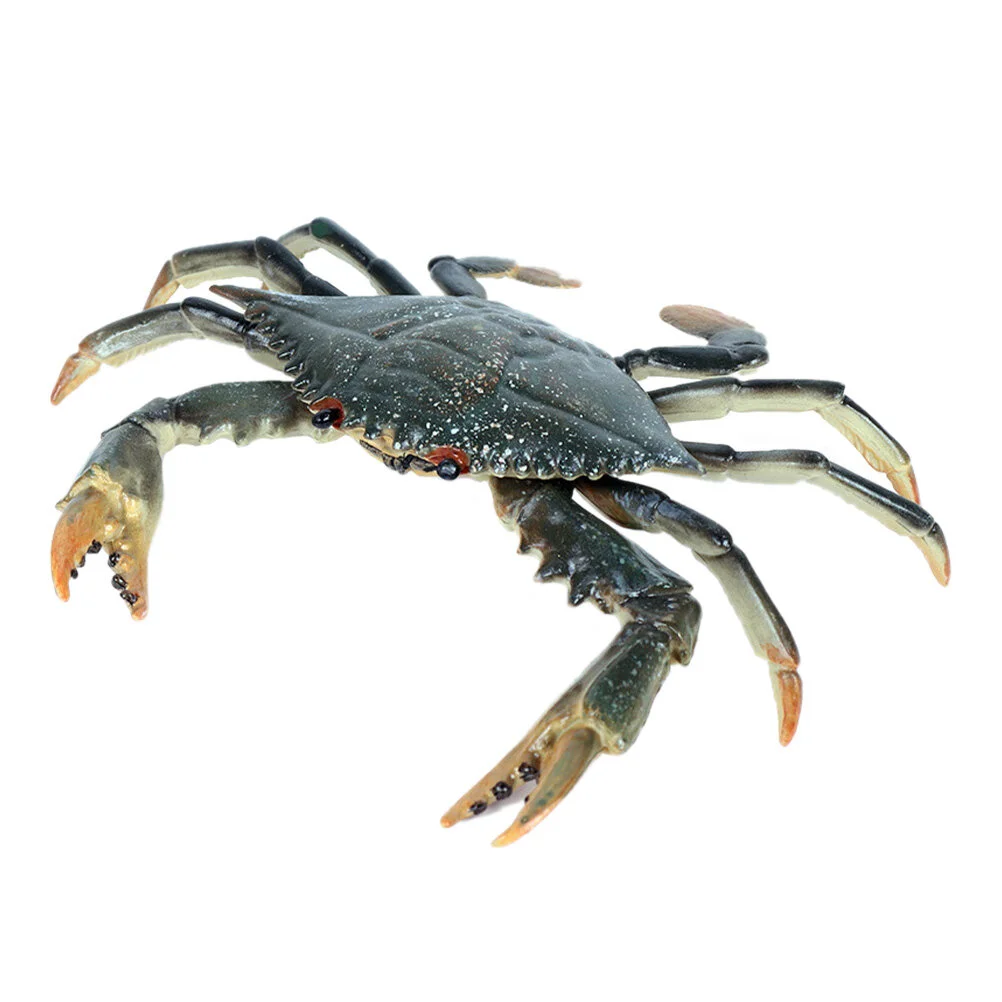 

Sculpture Marine Animals Toy Plastic Model Models Crab Toys Educational Playthings Display Hermit