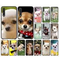 maiyaca cute pet chihuahua dog phone case for huawei p30 40 20 10 8 9 lite pro plus psmart2019