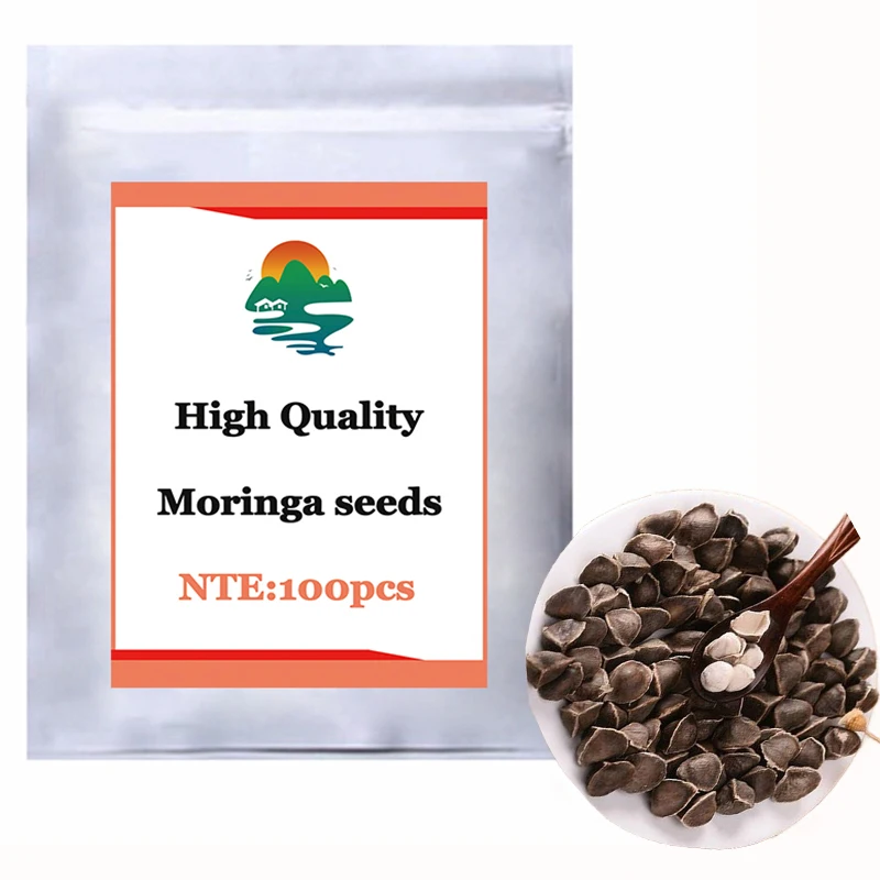 

High Quality High Germination Rate Moringa Oleifera, Moringa,It Can Be Planted and Eaten,