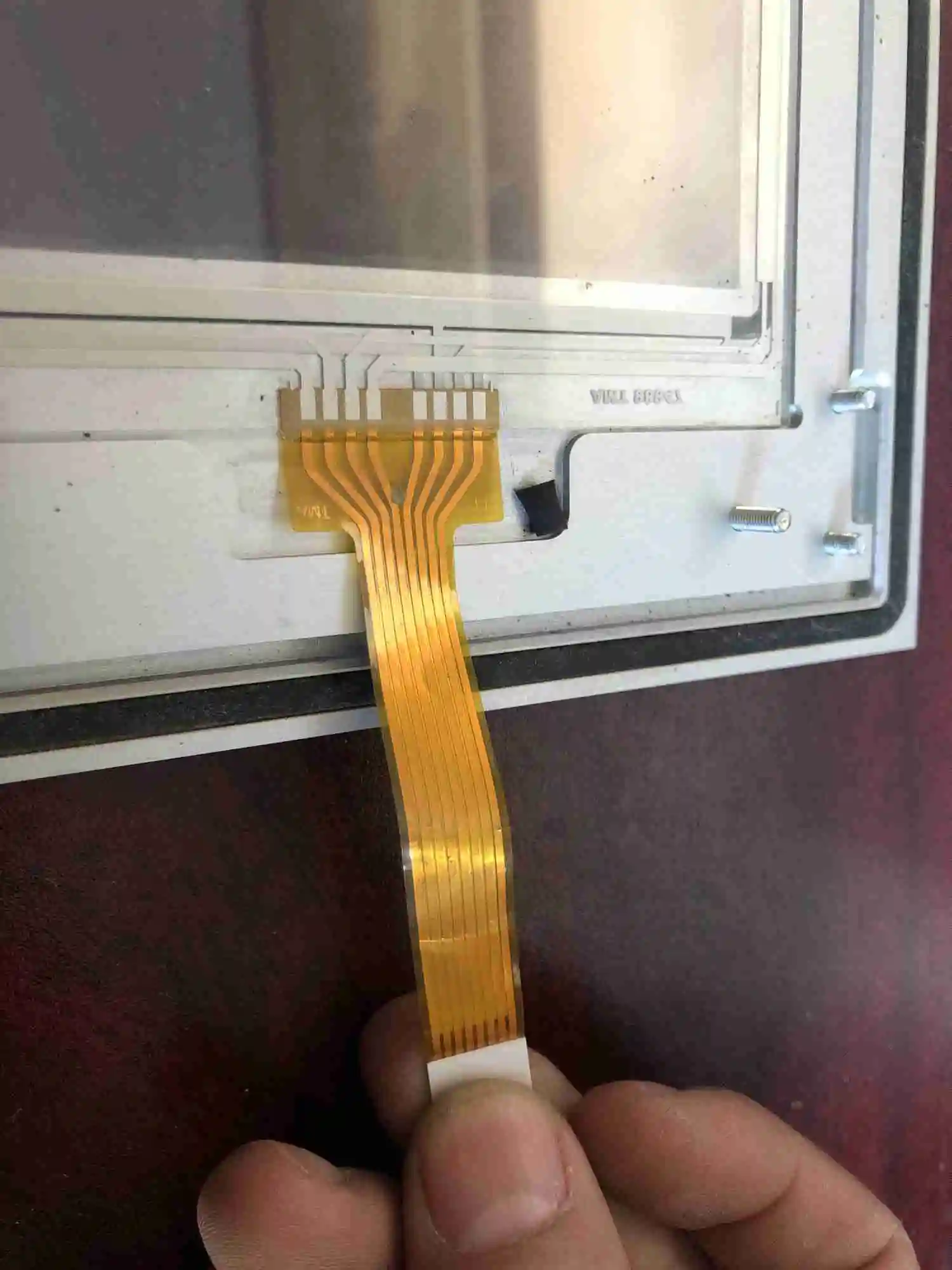 thumb