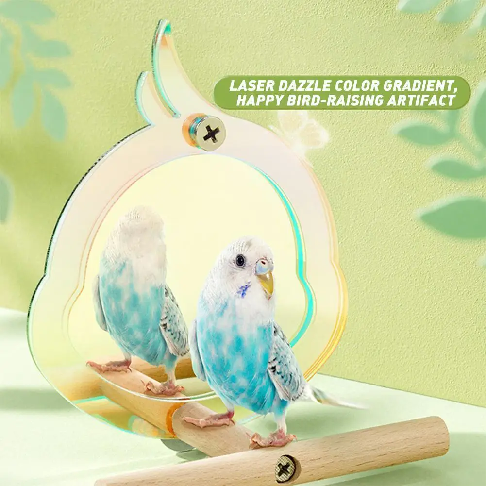 

Perch With Cockatiel Mirror For Cage Bird Toys Bird Cage Toys For Parakeet Cockatoo Cockatiel Conure Lovebirds Finch Canari C4y2