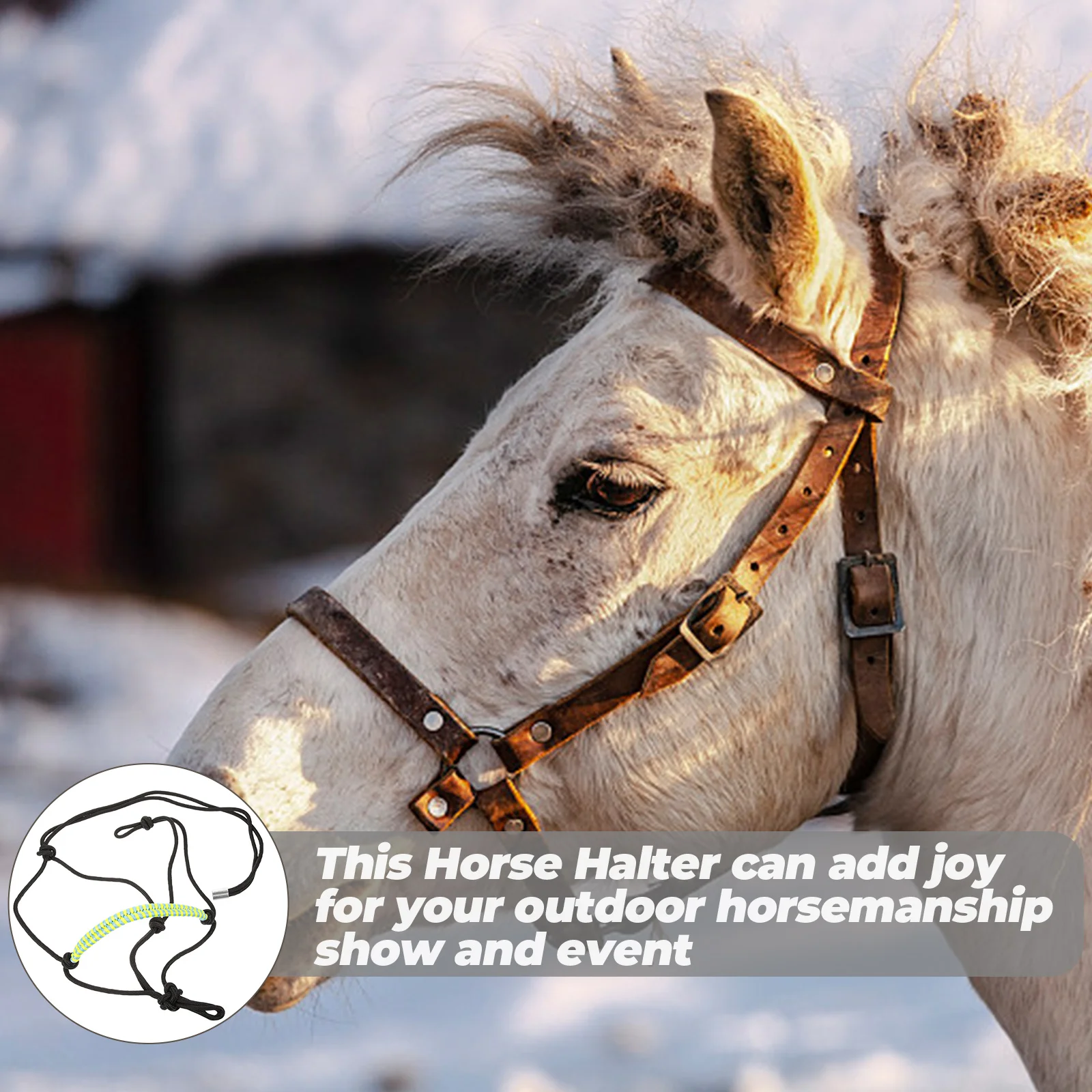 Рисунок 6 - Веревка для лошадей профессиональная