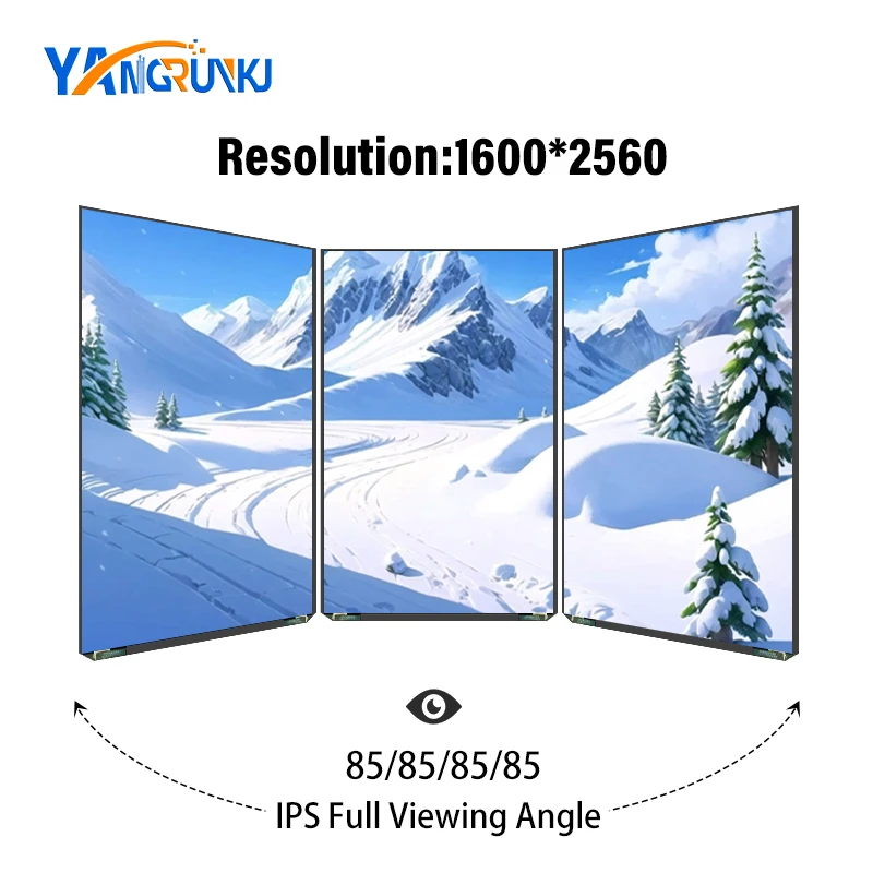 Фото TE121QDT-LWO 12,1-дюймовый вертикальный ЖК-экран, экран 1600*2560, 2K IPS, полный угол обзора №4