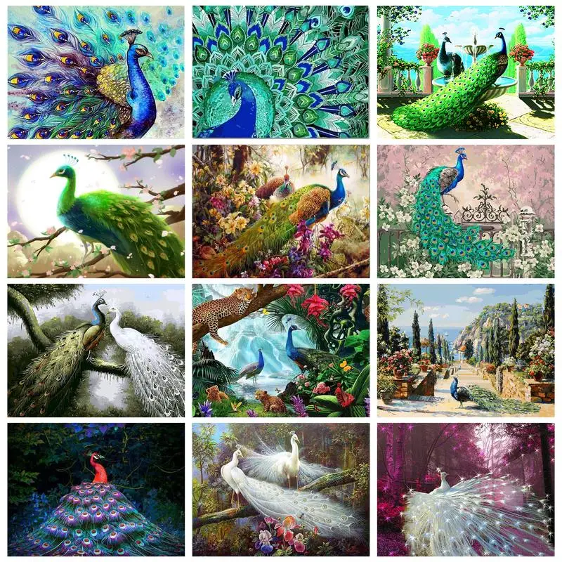 

CHENISTORY Oil Painting By Numbers Paint Kit Peacock Handiwork For Adults Coloring By Numbers Home Decors Paint Kit Animal