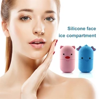 2 styles of massage ice roller apply face ice grid eye bags swelling facial physical cooling massager beauty skin care tools
