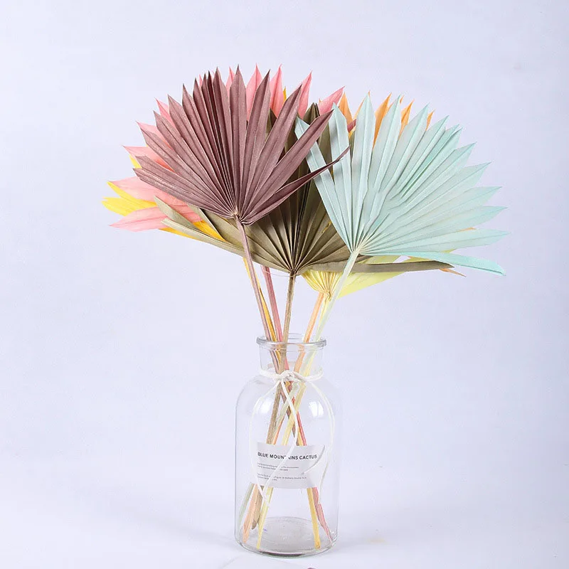 Натуральные сушеные цветы веер кошачий хвост растения Подсолнух Пальмовые