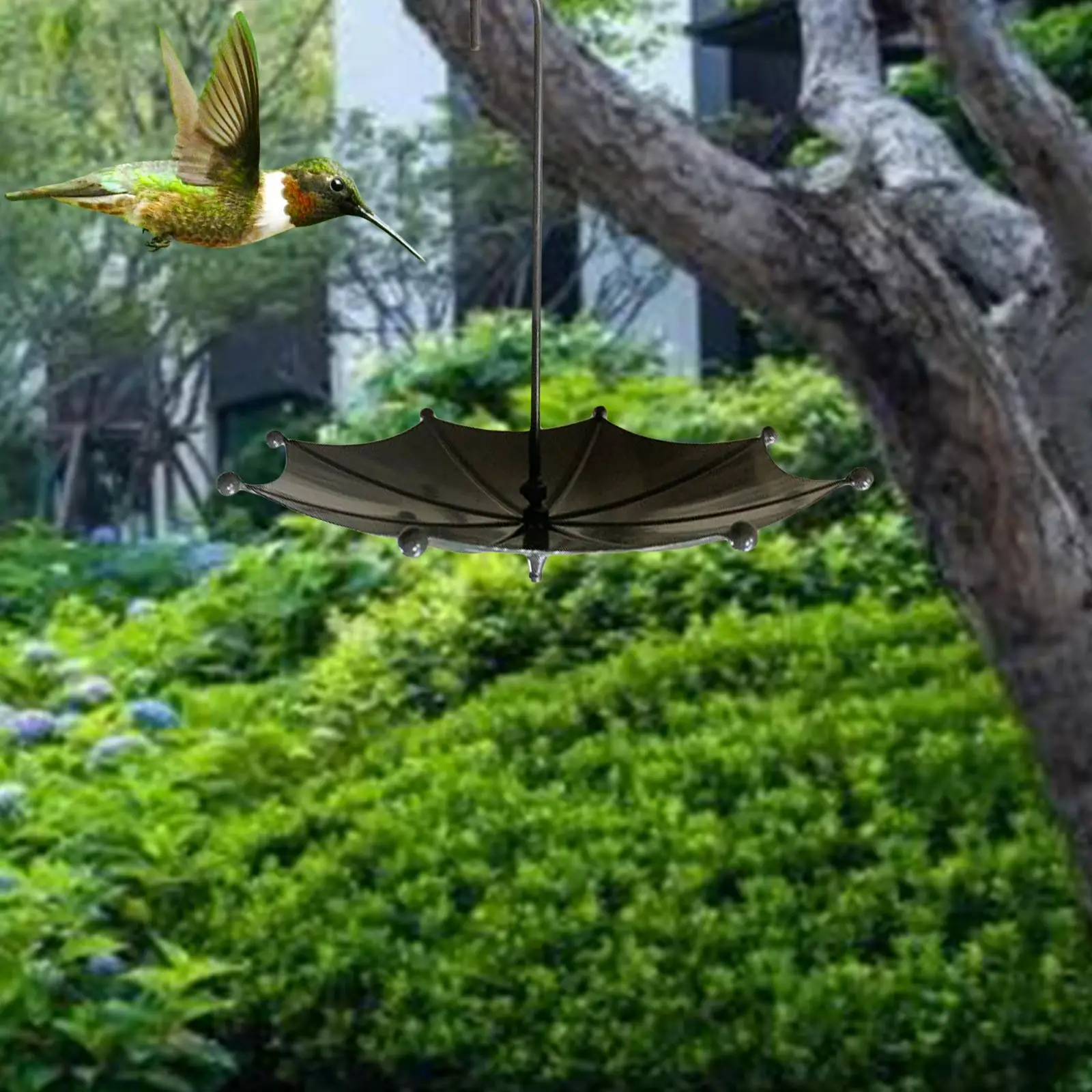 Food Feeding Tray Humming Bird Feeder For Garden Outdoor