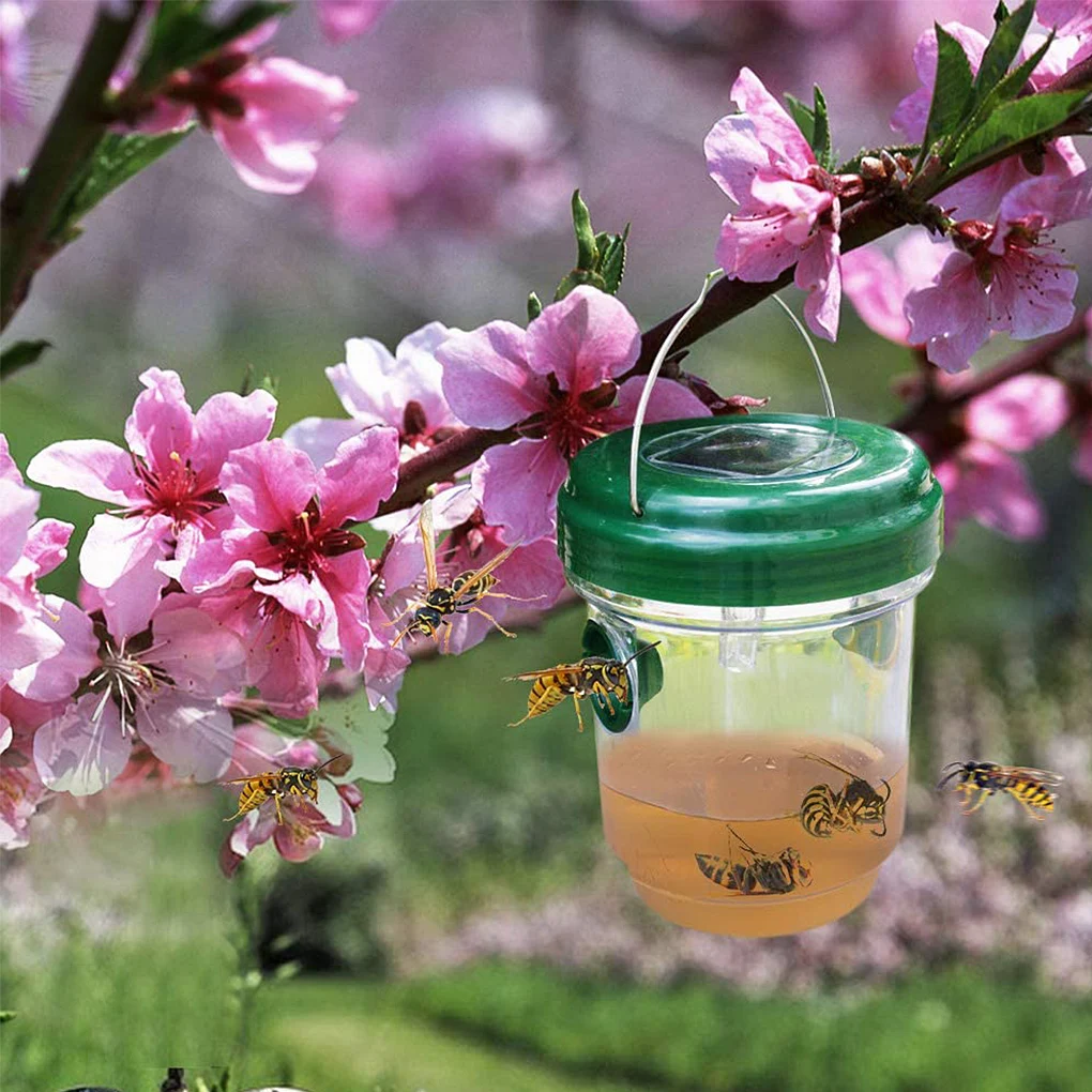 

Солнечная светодиодная садовая ловушка для мух, ловушка для насекомых Drosophila, фрукты, муха, Отпугиватель нетоксичных насекомых, сад, парк нас...