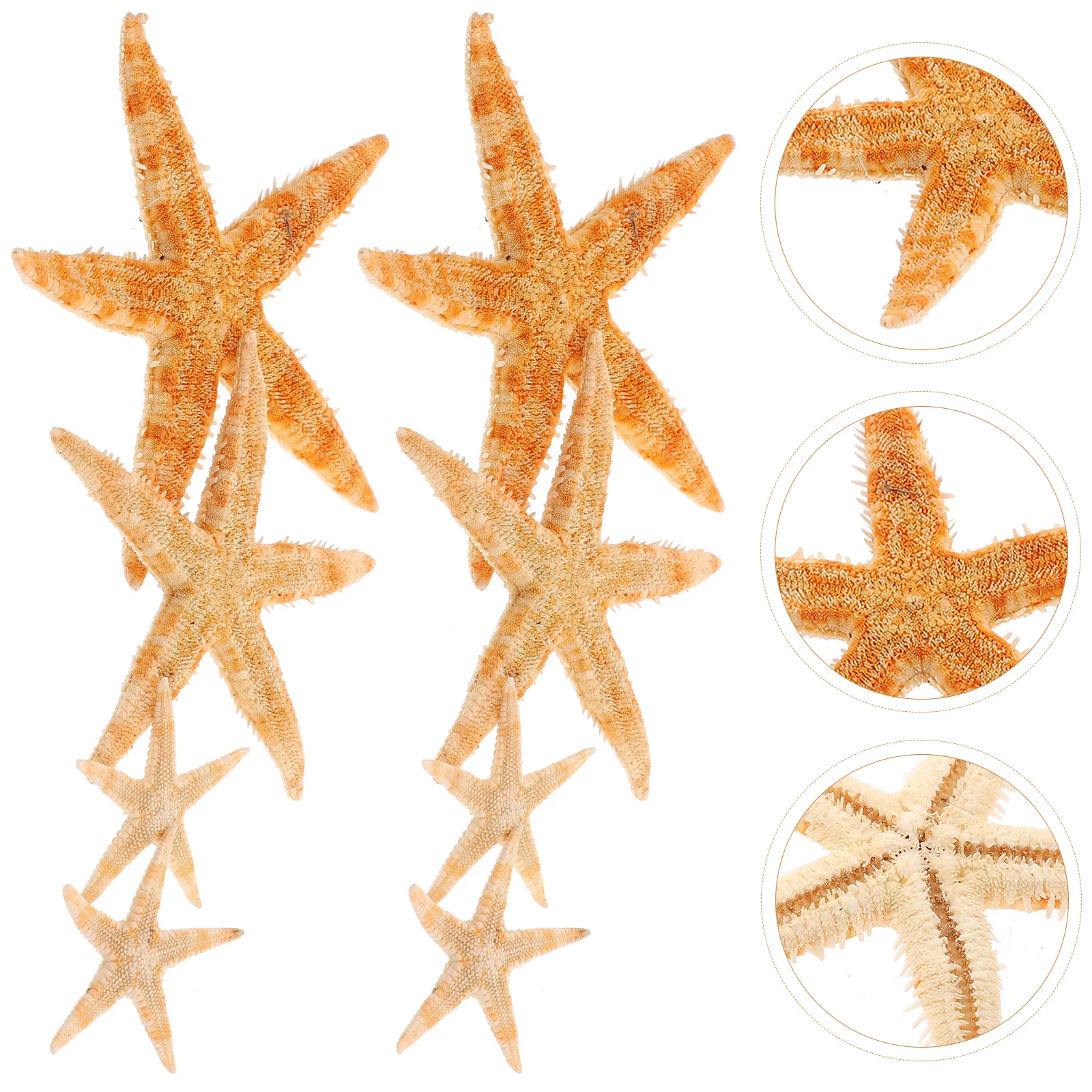 

100 Pcs Tabletop Decor Exquisite Starfish Delicate Creative DIY Shell Tank Decorative Craft Landscape