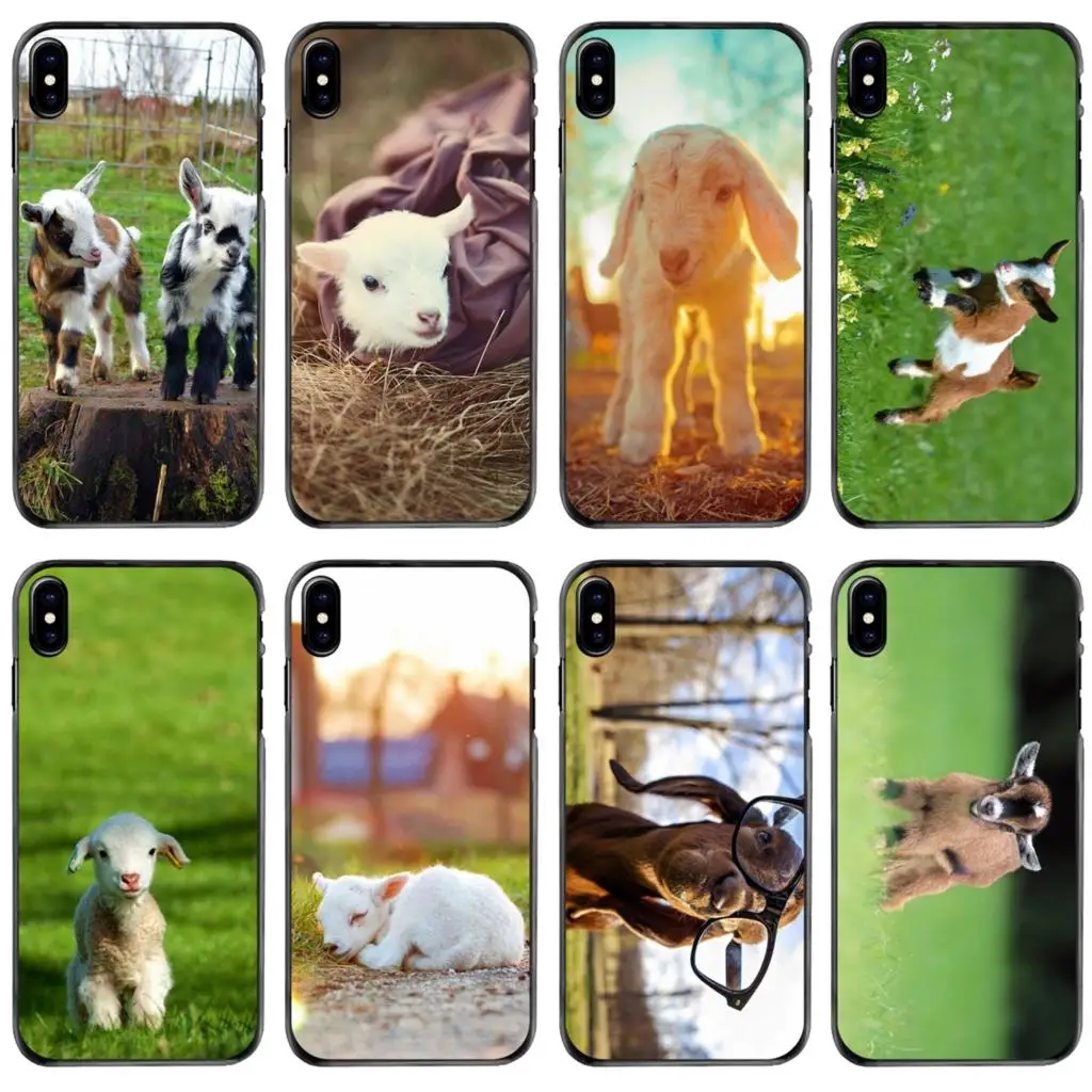 

The Cutest Baby Pygmy Goat For Apple iPhone 11 12 13 14 Pro MAX Mini 5 5S SE 6 6S 7 8 Plus 10 X XR XS Hard Phone Shell Case