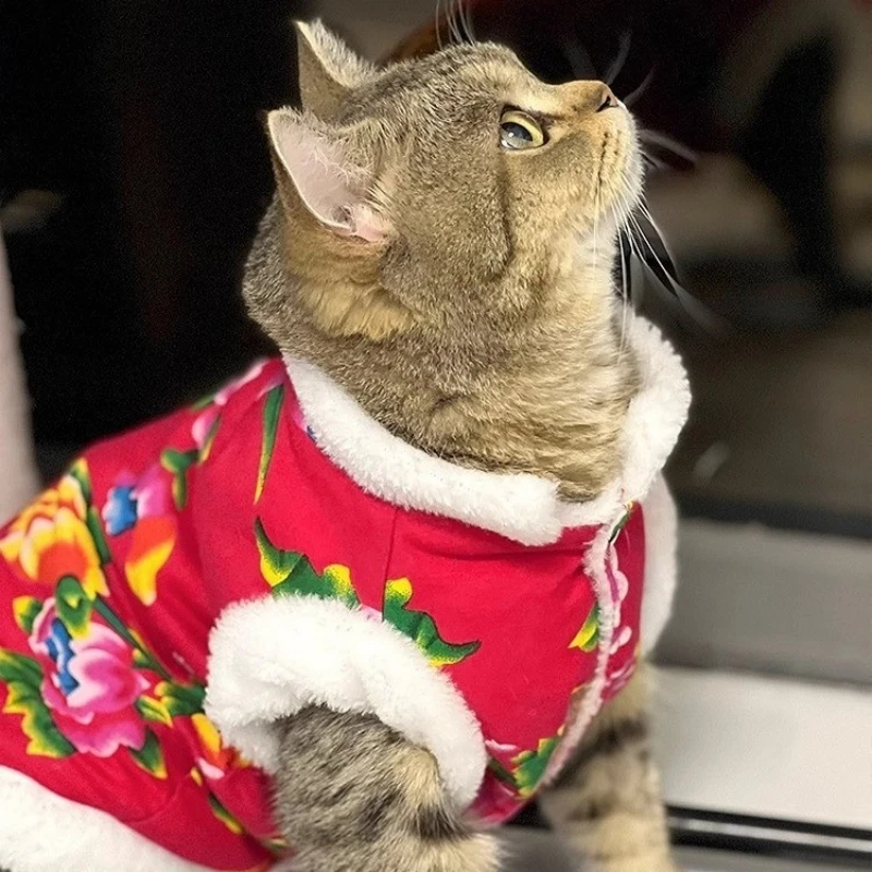 Одежда для кошек плюс кашемировая теплая северо-восточная куртка на хлопковой