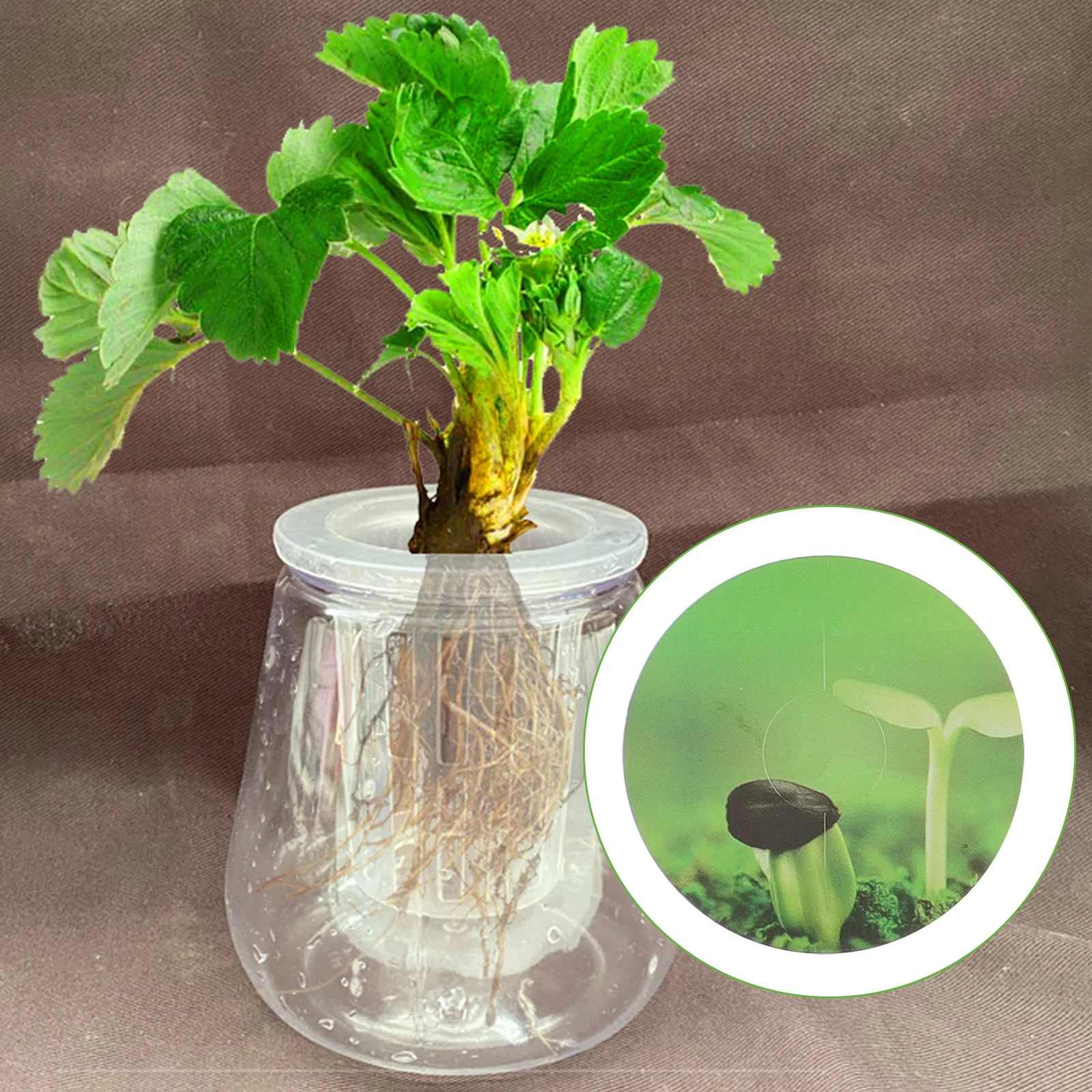 

Label Sticker Pot Labels Garden Grow Hydroponic Stickers Basket Baskets Accessories Pods Marker Sticke Supplies Stick Peel Round