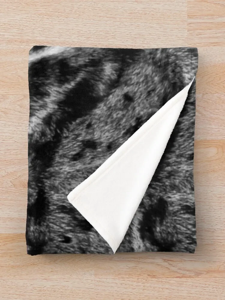 Одеяло Catahoula с леопардовым рисунком из меха собаки синее Мерле теплое зимнее