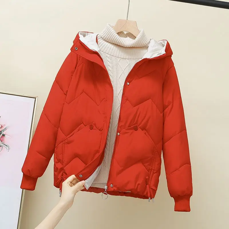 down Cotton-Padded Jacket for Women Winter 2023 Korean Style Loose Small Cotton-Padded Jacket Thick Fashion Short Cotton Coat