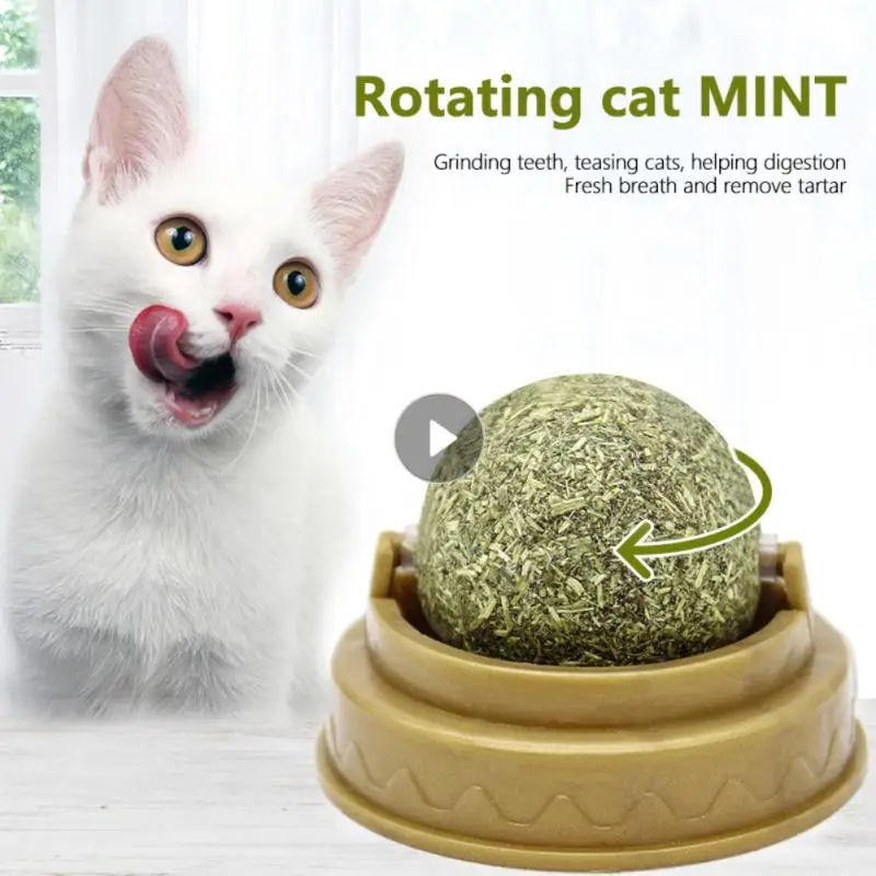 

Вращающаяся на 360 ° эргономичная настенная игрушка-палочка, съедобная жевательная игрушка для кошек, здоровая чистка зубов, способствует пе...