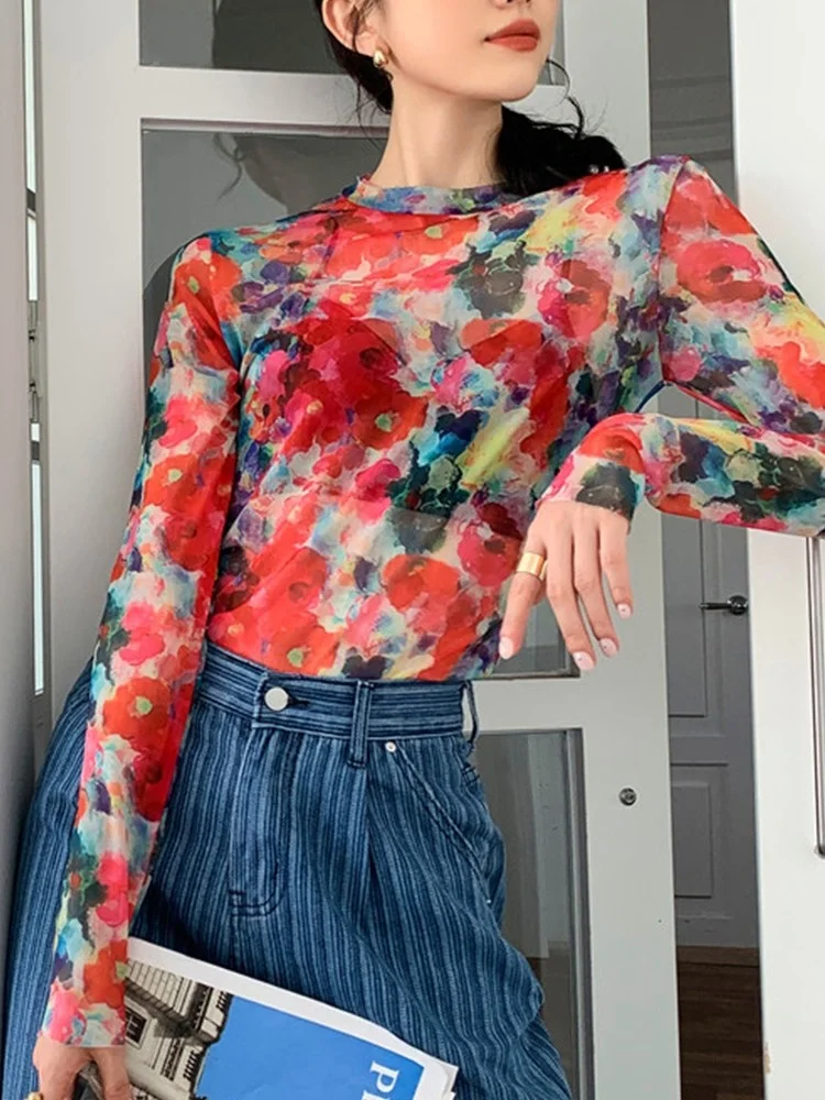 

Sexy Thin Mesh Top Long Sleeve T Shirt Gothic Y2k Floral Top O Neck Tee See Through Fashion Women Streetwear Tshirt Y487